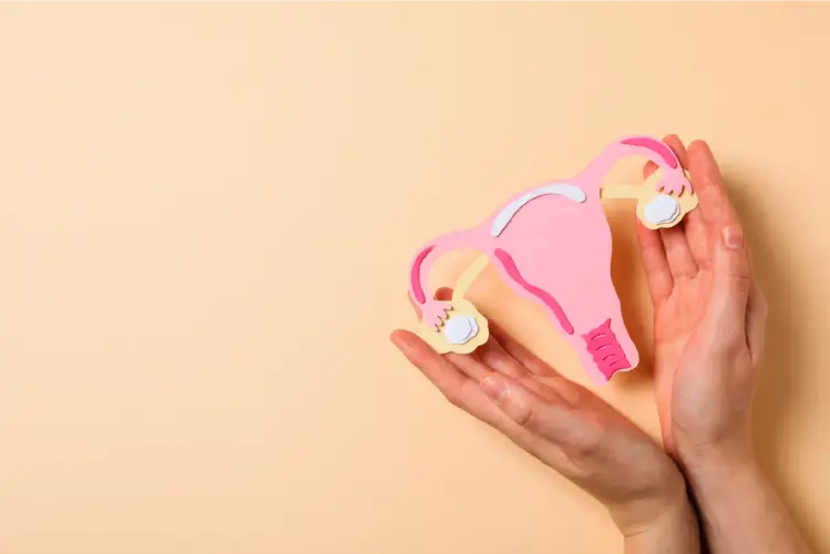 Endometriozis ve Ağrılı Cinsel İlişkinin Yaşam Kalitesine Etkileri